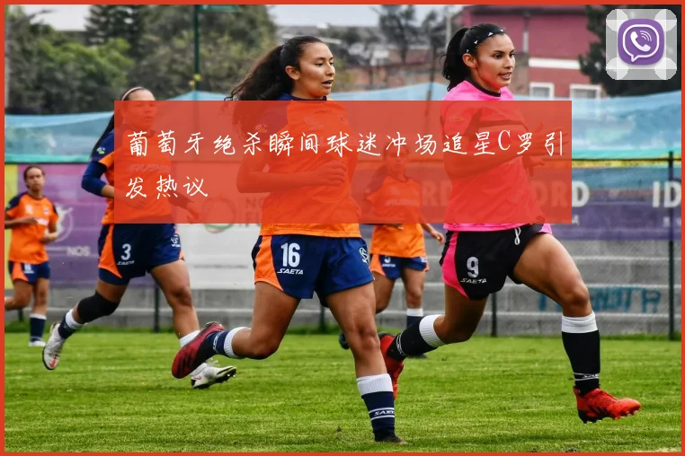 葡萄牙绝杀瞬间球迷冲场追星C罗引发热议